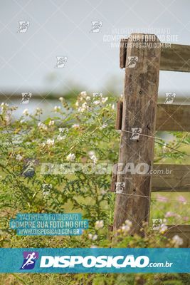 Foto 7849318