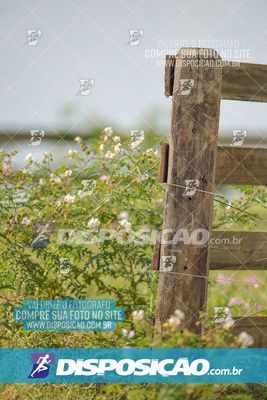 Foto 7849323