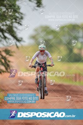 Foto 7849364