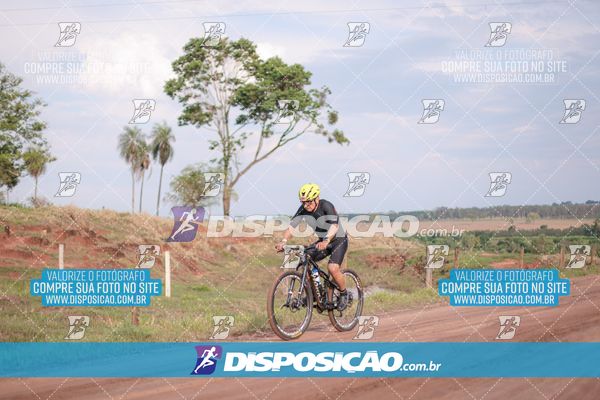 Foto 7849502