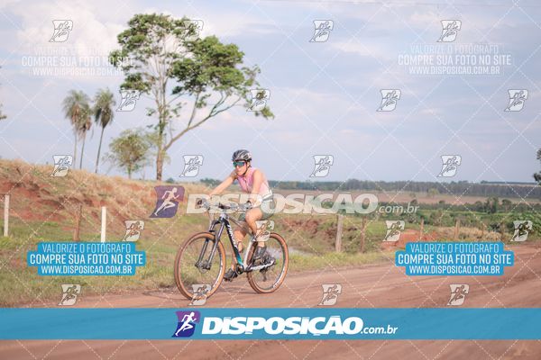 Foto 7849511
