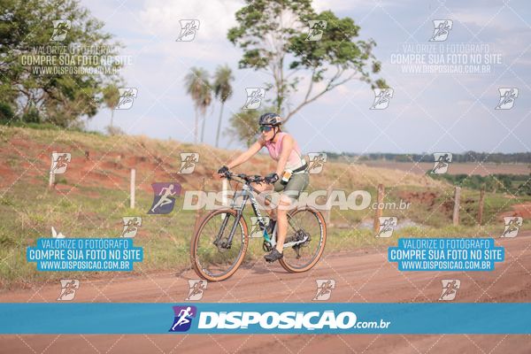 Foto 7849514