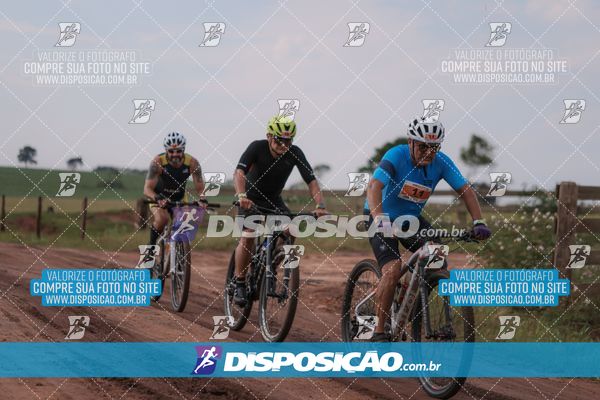 Foto 7849564