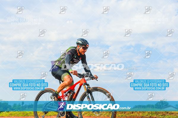 Foto 7849859