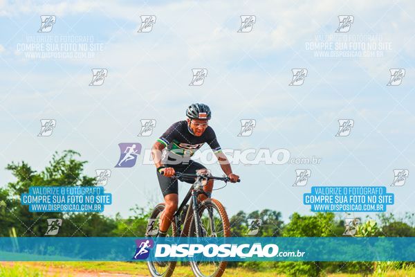 Foto 7849860