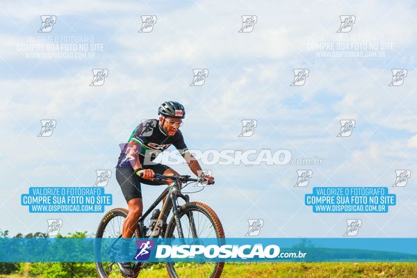 Foto 7849864