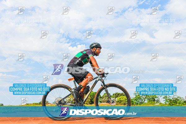 Foto 7849865
