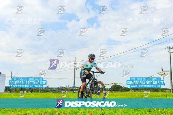 Foto 7850129