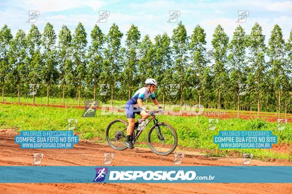 Foto 7848248