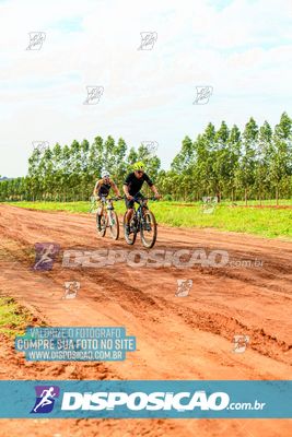 Foto 7848291