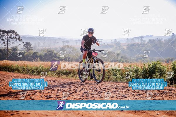 Foto 7928223