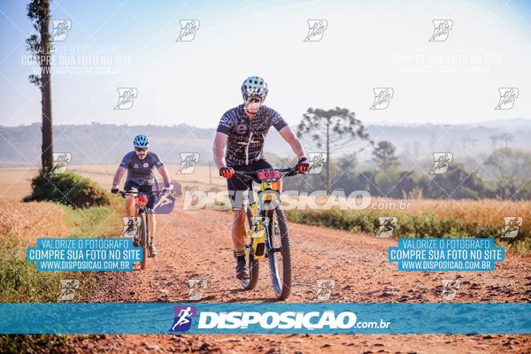 Foto 7928241
