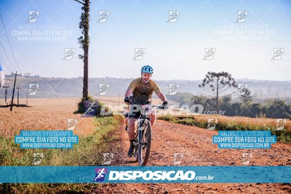 Foto 7928269