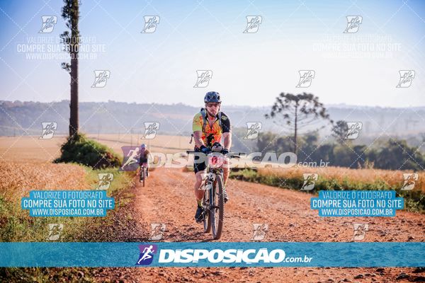 Foto 7928271