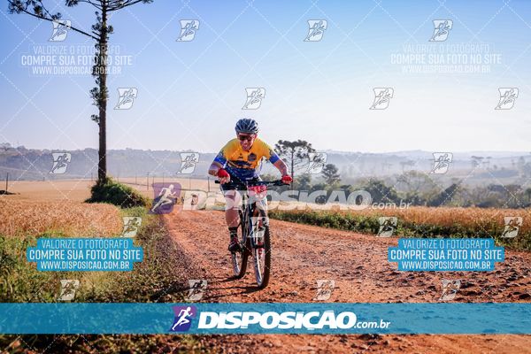 Foto 7928305