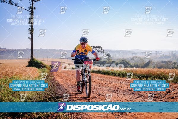 Foto 7928306