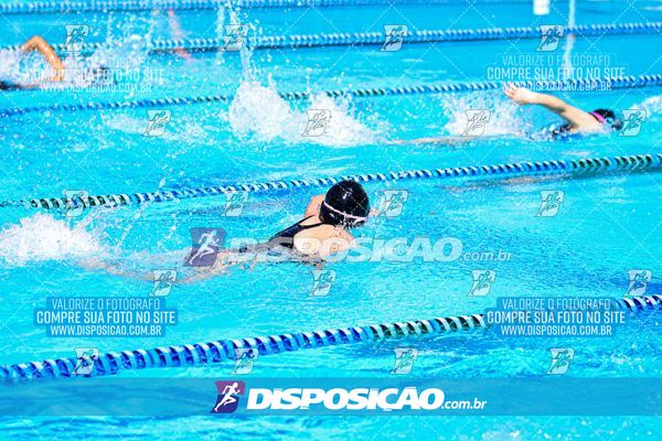 Foto 7857692
