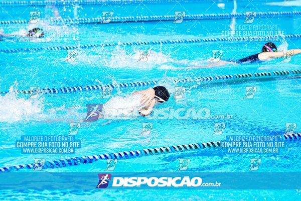 Foto 7857695