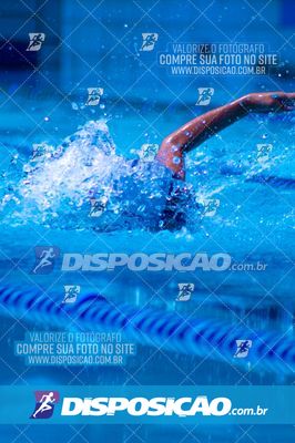 Foto 7853093