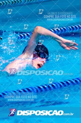 Foto 7853240