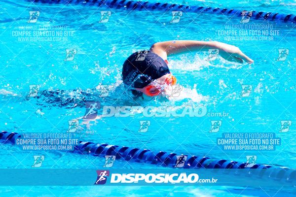 Foto 7853252