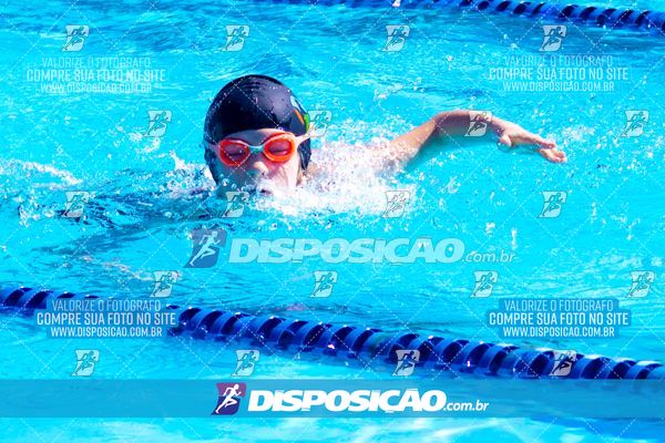 Foto 7853254