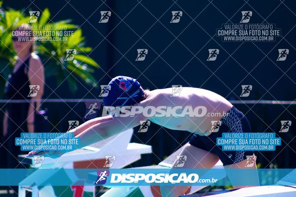 Foto 7853307