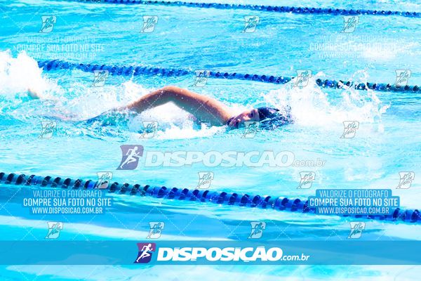 Foto 7853326