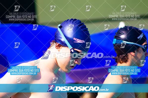Foto 7853346
