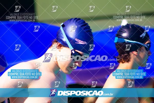 Foto 7853342
