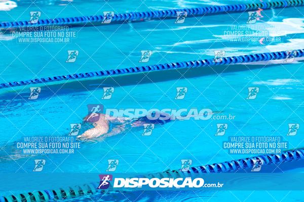 Foto 7853359