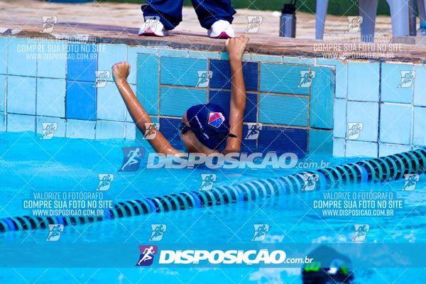 Foto 7853084