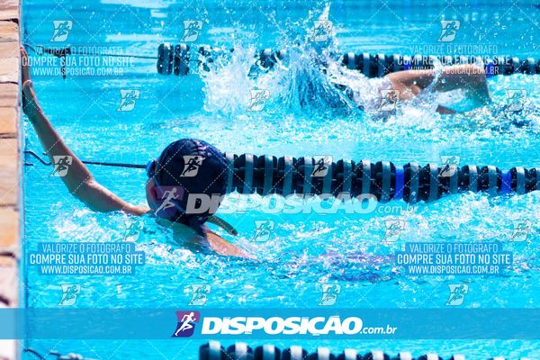 Foto 7853159
