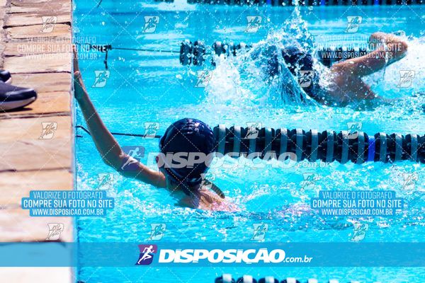 Foto 7853163