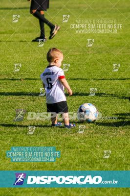 Foto 7854579
