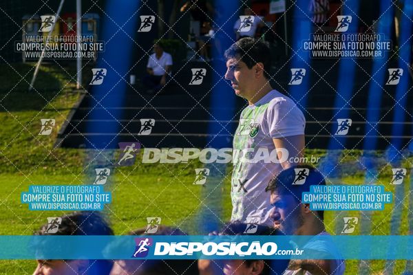 Foto 7854611