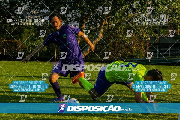 Foto 7855025