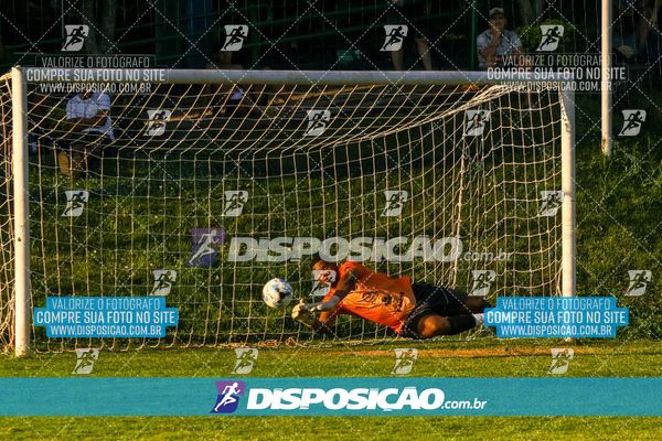 Foto 7855430