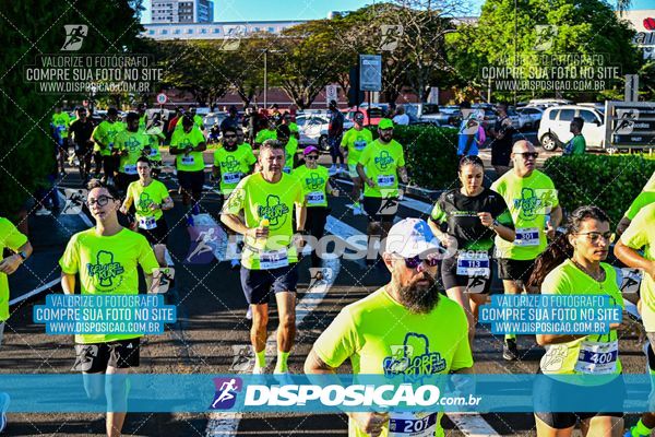 Foto 7912808