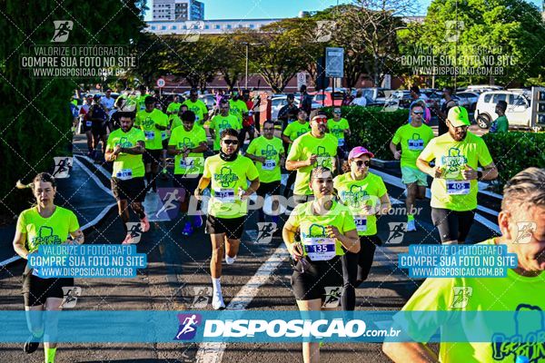 Foto 7913071