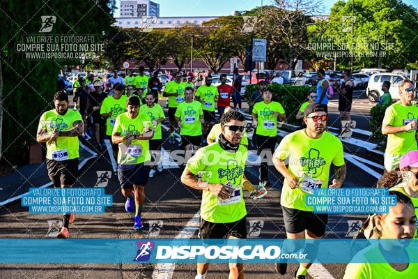 Foto 7913223