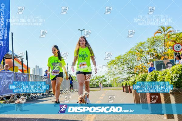 Foto 7905216