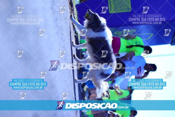 Foto 7883159