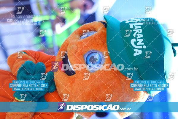 Foto 7883171