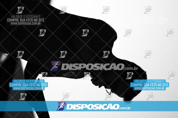 Foto 7877533