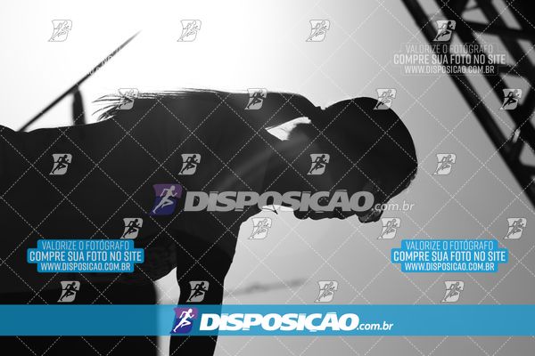 Foto 7877782