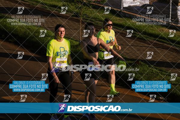 Foto 7880141