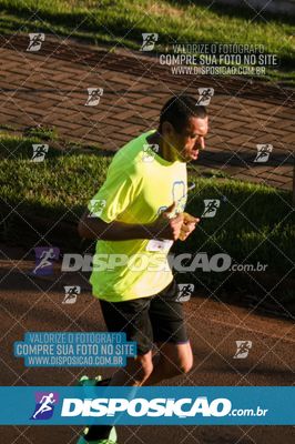 Foto 7880304