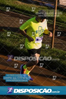 Foto 7880548