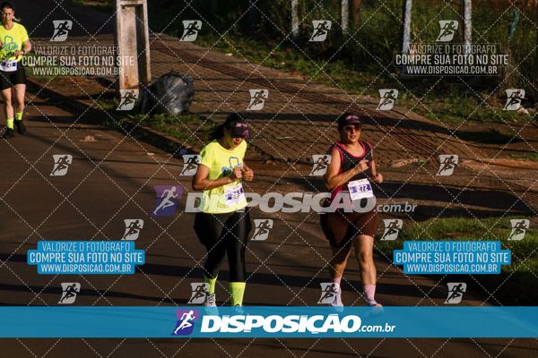 Foto 7881199